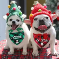 Chapéu e Bandana cachecol de Natal