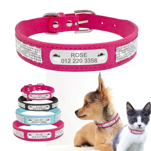 Coleira com Strass chapinha gravada com nome e telefone - Image 9
