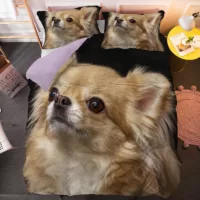 Conjunto Capa de edredon e almofadas Chihuahua 3D